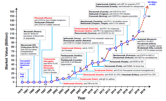 单克隆抗体_202202071