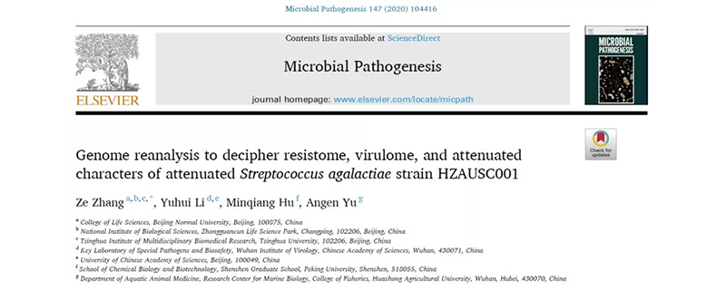 微生物测序_2022-1-20-1